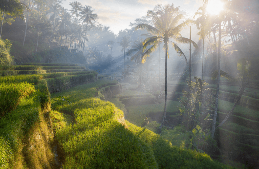 caldera wellness background bali